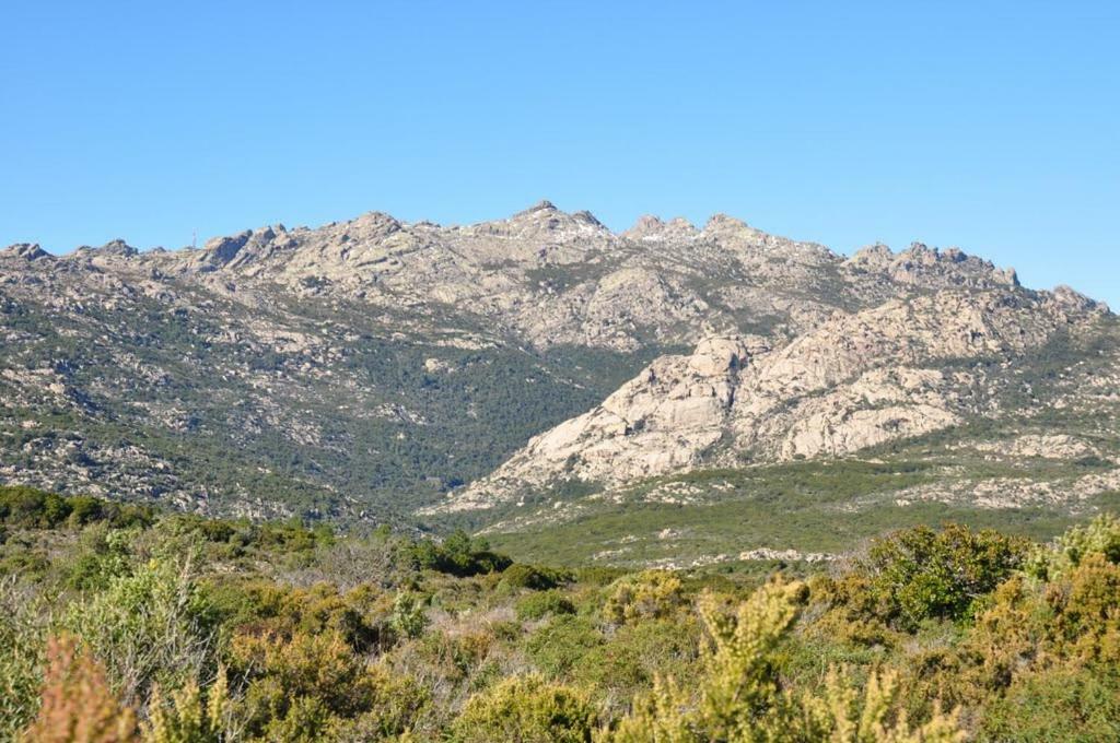Sardegna Vicino Ad Olbia "La Casa Nel Vicolo" Villa Berchidda Eksteriør billede
