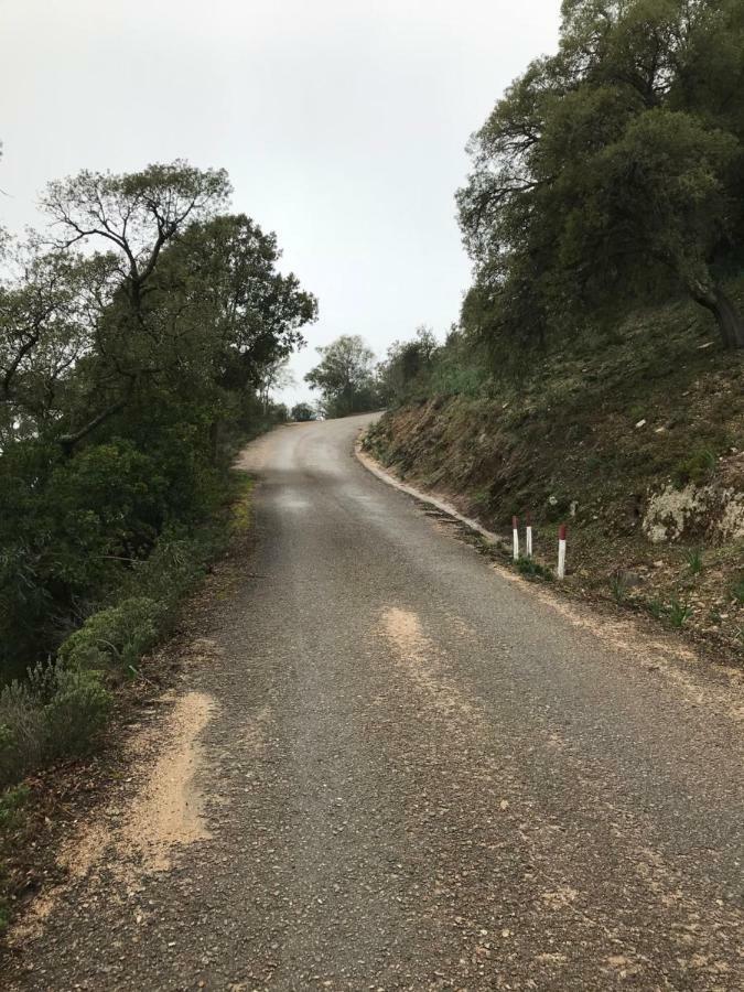 Sardegna Vicino Ad Olbia "La Casa Nel Vicolo" Villa Berchidda Eksteriør billede