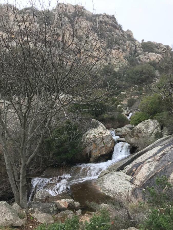 Sardegna Vicino Ad Olbia "La Casa Nel Vicolo" Villa Berchidda Eksteriør billede