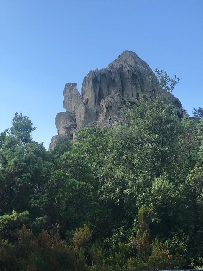 Sardegna Vicino Ad Olbia "La Casa Nel Vicolo" Villa Berchidda Eksteriør billede